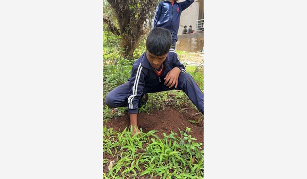 🌍 World Environment Day 2025
